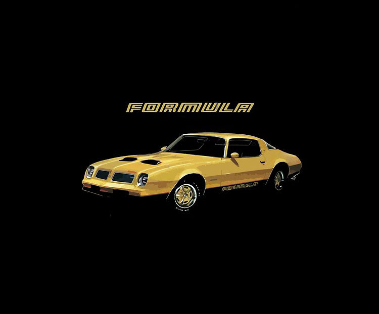 🚘Custom Car Blanket with Your Car Photo