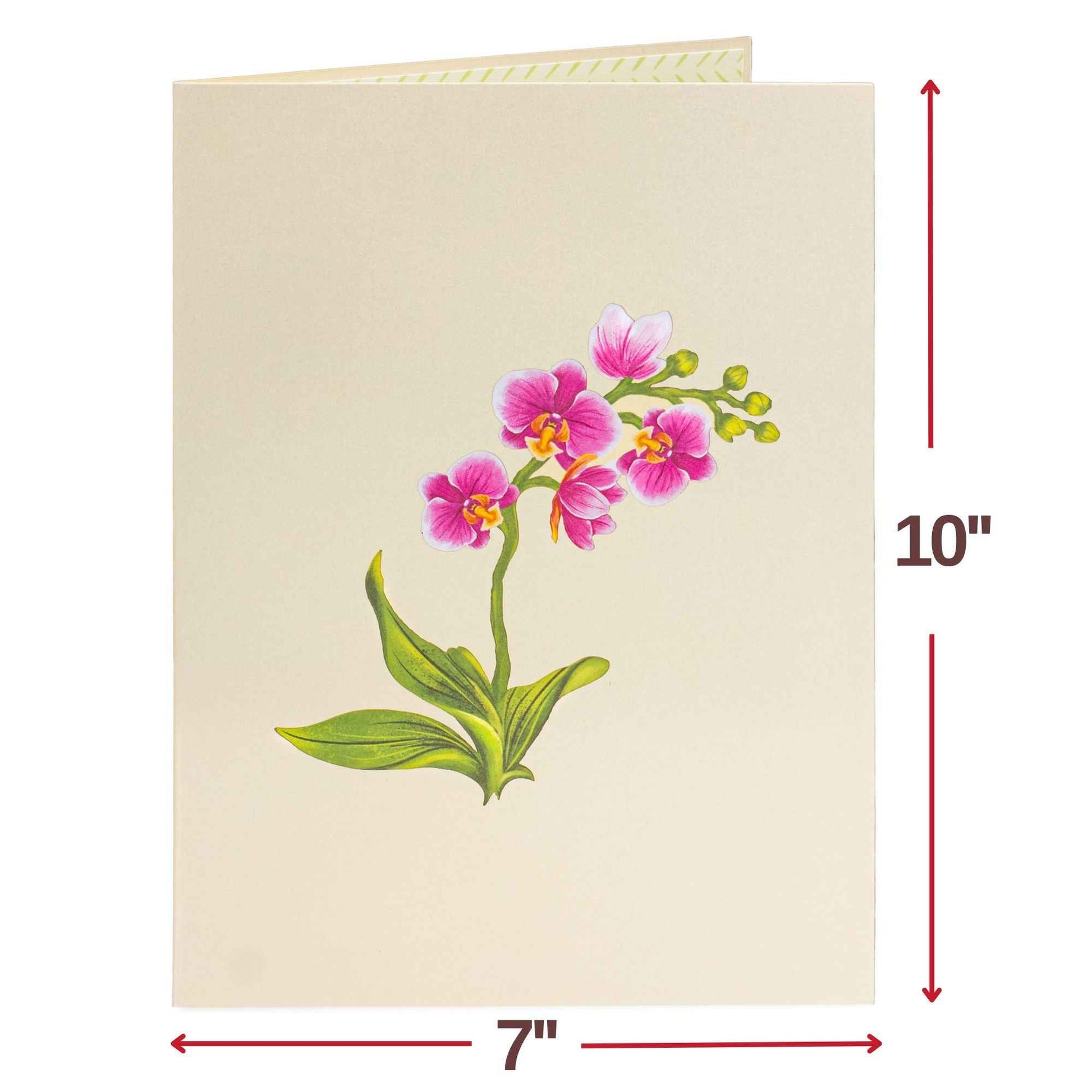 Orchid Flower Bouquet Pop-Up Card
