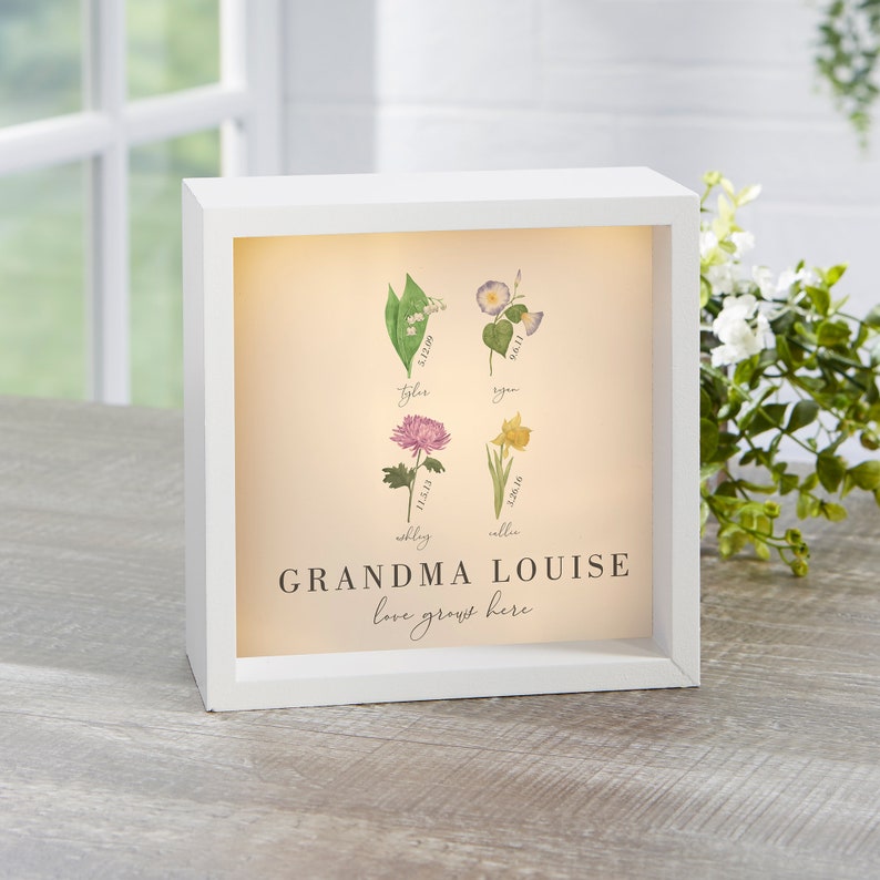 Custom Birth Month Flower Personalized LED Light Shadow Box For Family Lighting