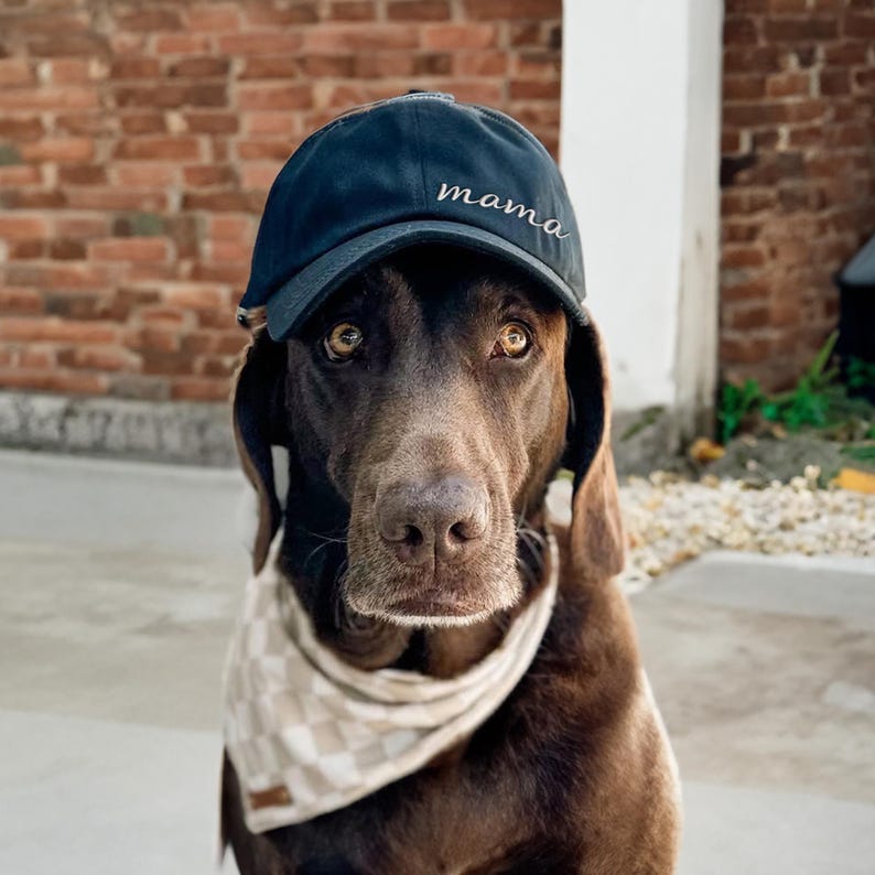 Custom Embroidered Mama Baseball Cap Hat