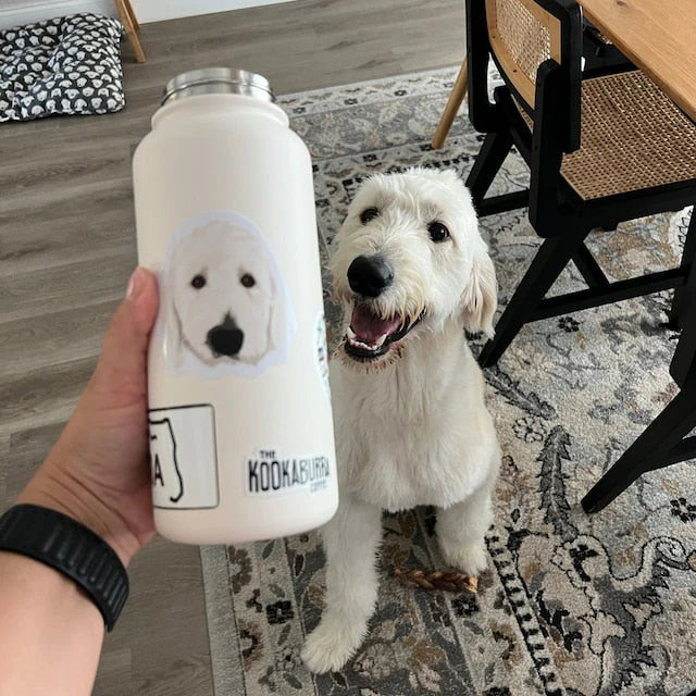 Turn Photos into Hand Drawn Stickers