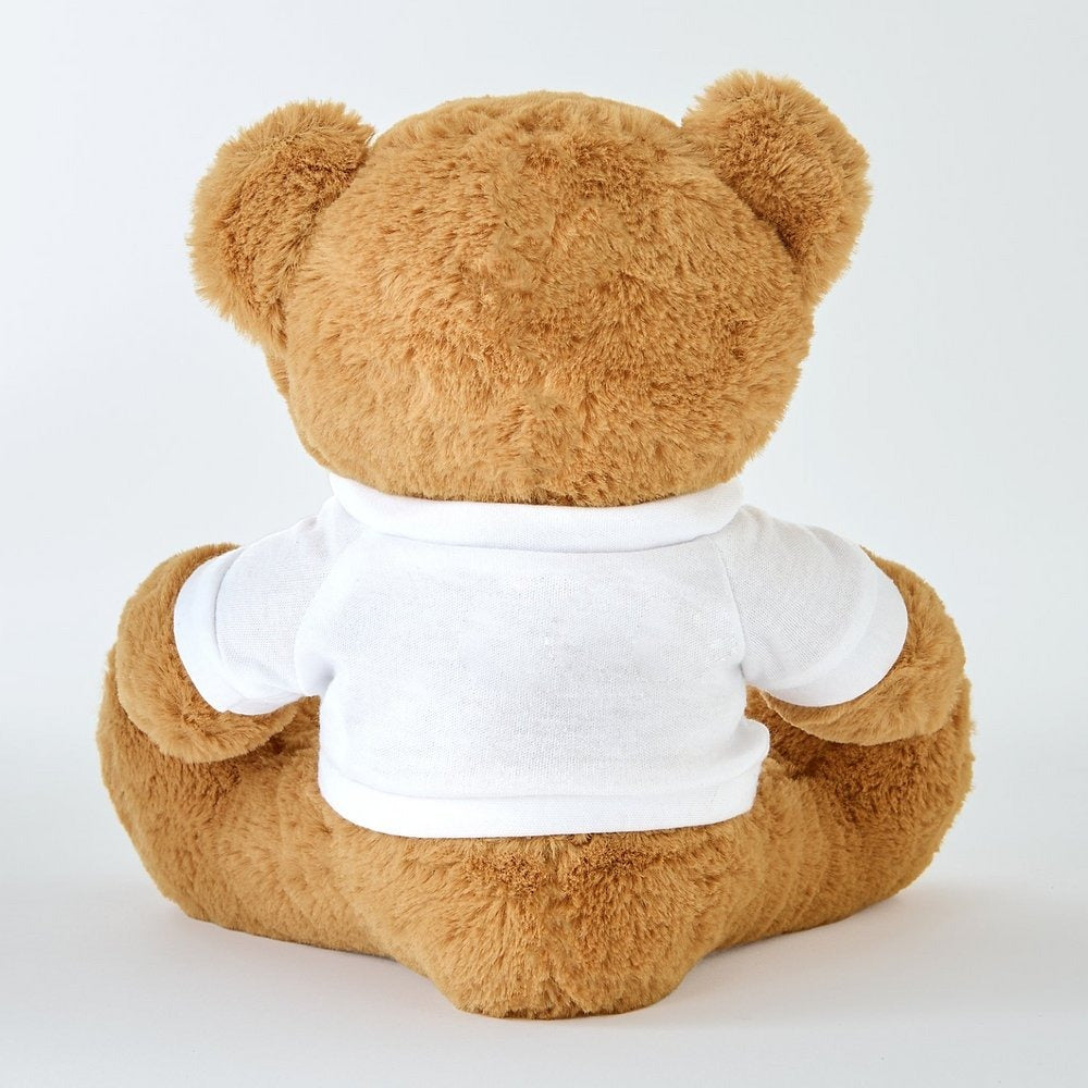 Plush Teddy Bear Gram with Playful Hearts Tee — Cute Stuffed Bear, Sweet Gift for Him & Her