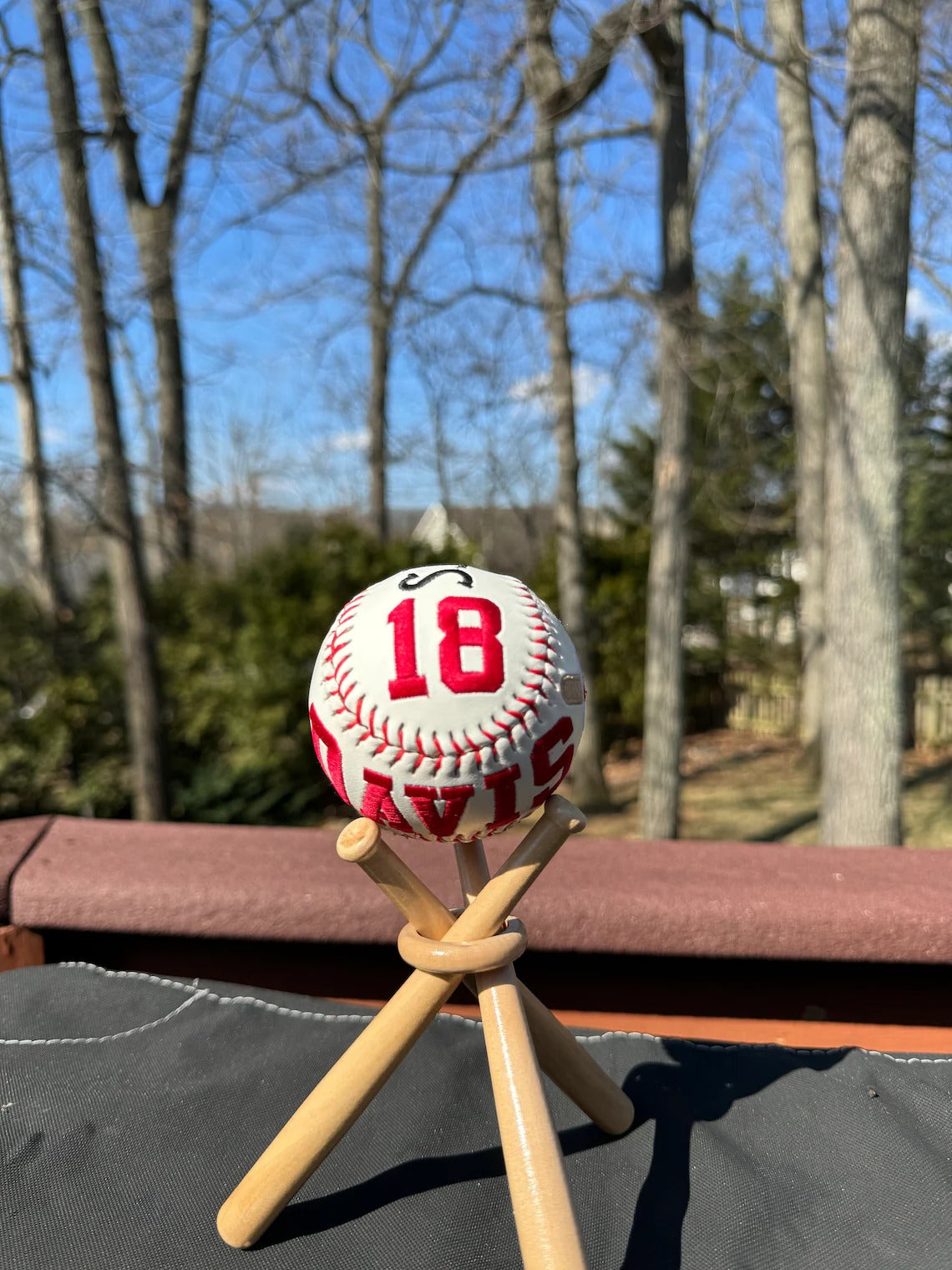 Custom Embroidered Baseball Gift | Personalized Softball for Kids, Dad, Sports Fans on Father’s Day