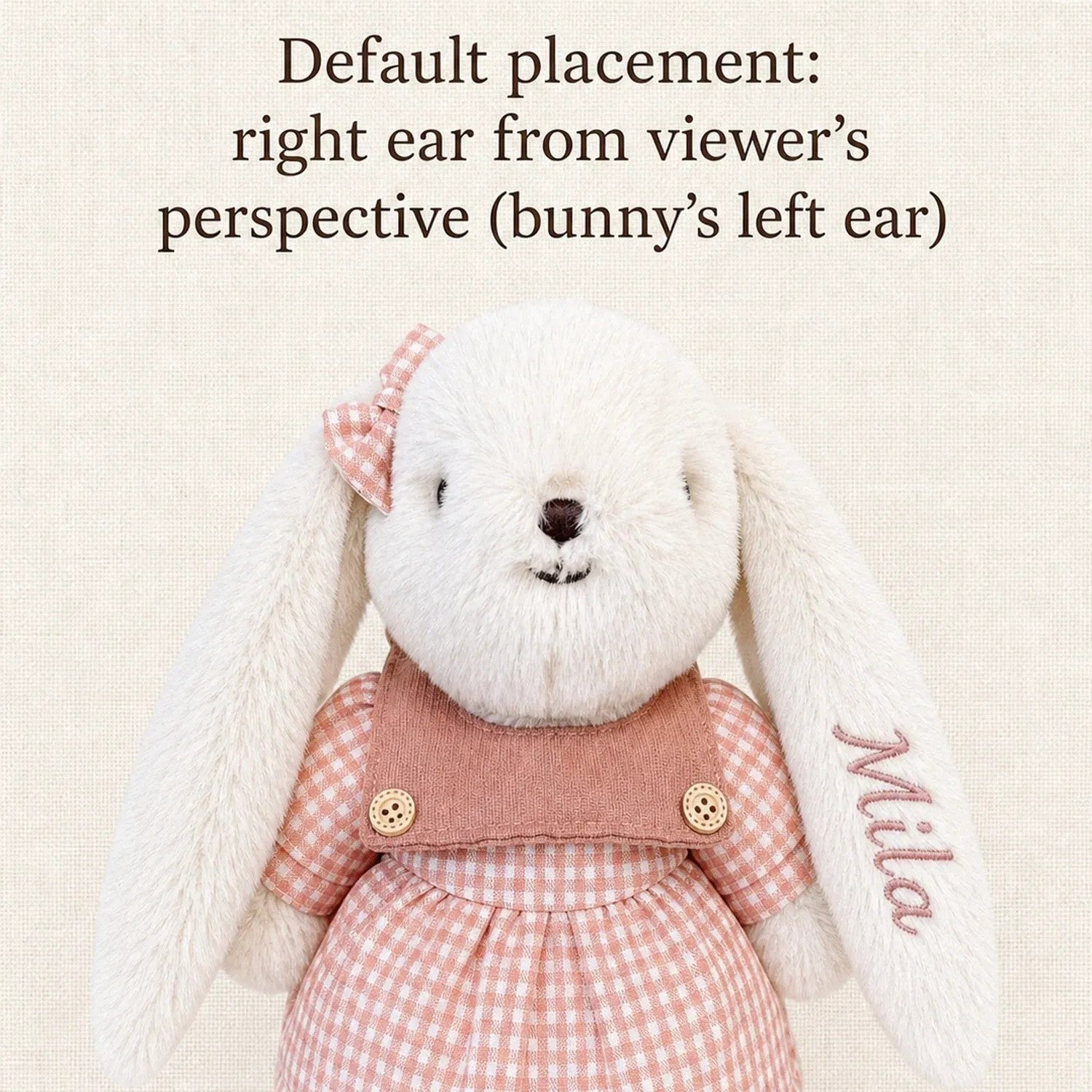 Personalized Bunny Plush, Custom Embroidered Name Stuffed Rabbit, Cute Personalized Gift for Kids & Girls