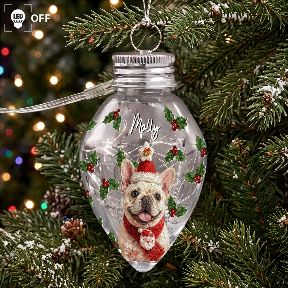 Personalized Family Photo Christmas Bulb LED Light — Custom Holiday Gift for Family, Kids & Pet Lovers
