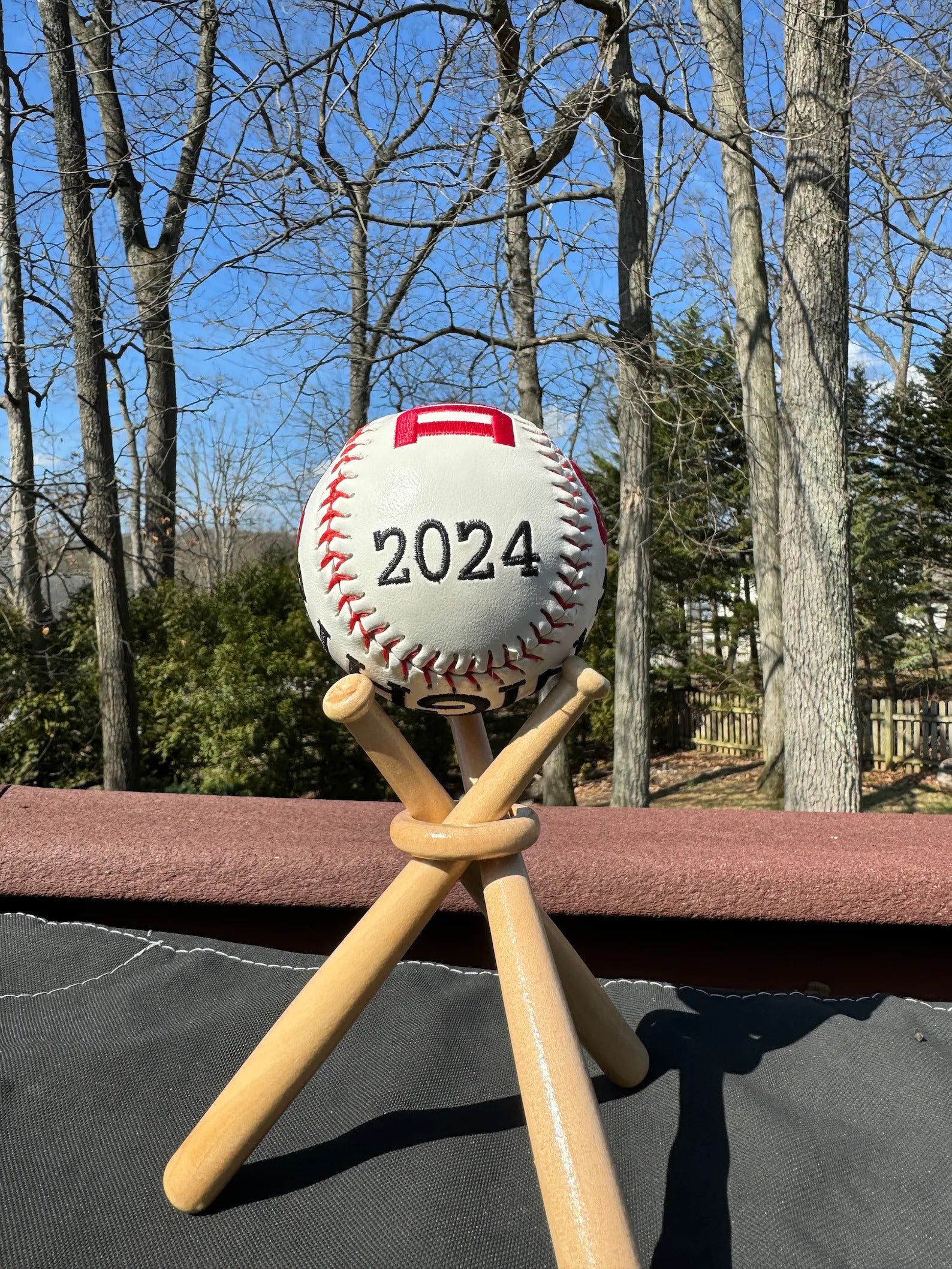 Custom Embroidered Baseball Gift | Personalized Softball for Kids, Dad, Sports Fans on Father’s Day