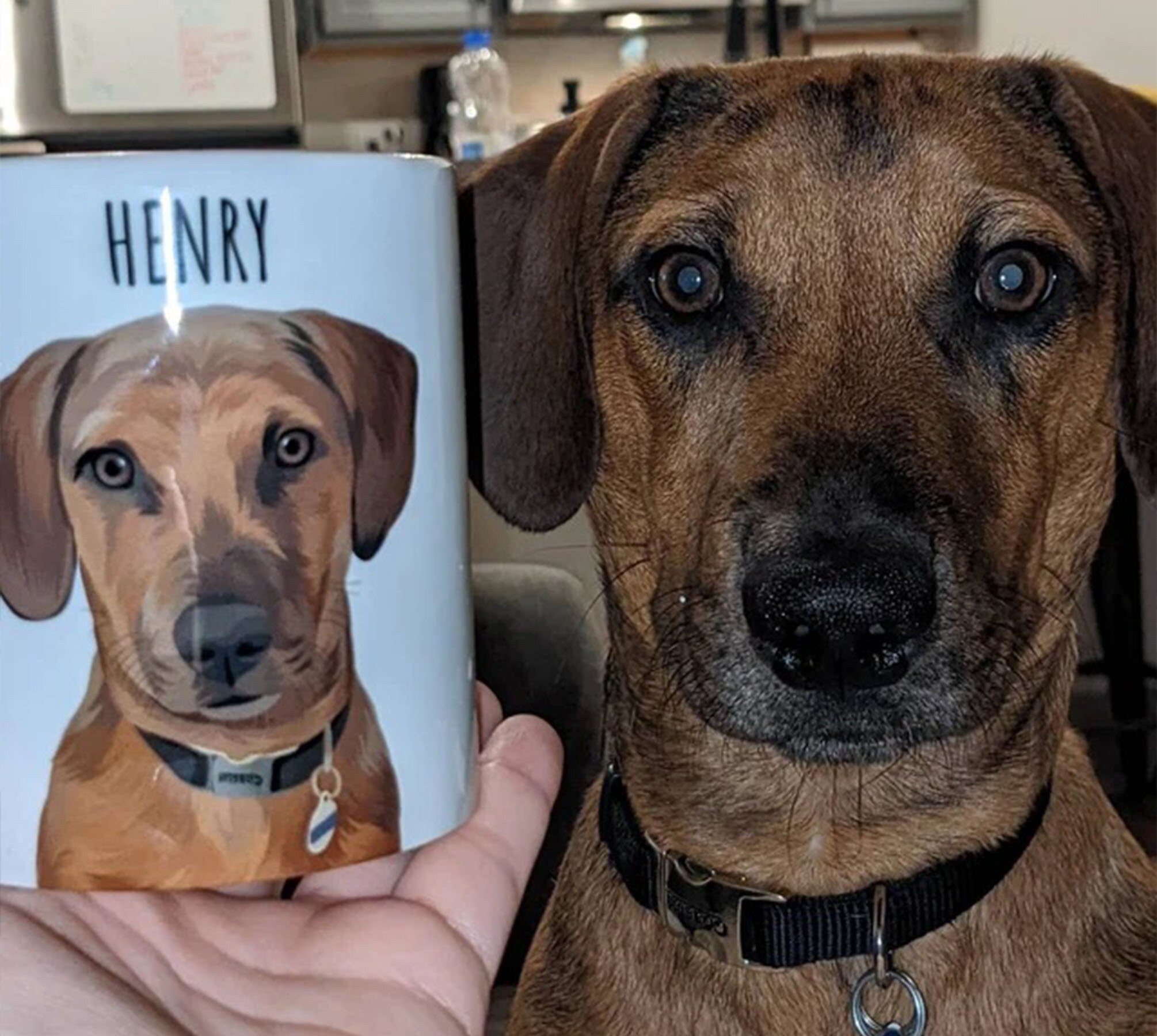 Personalized Dog Pet Cartoon Photo Mug