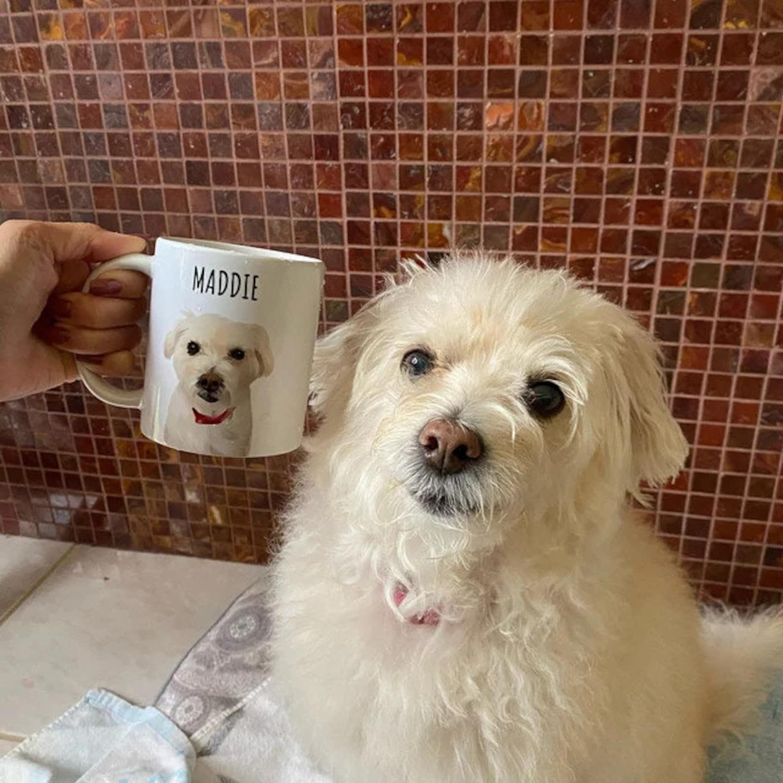 Personalized Dog Pet Cartoon Photo Mug
