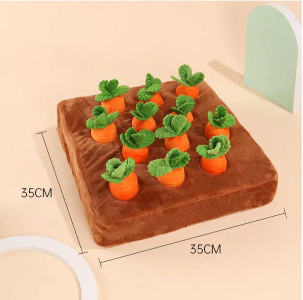 Carrot Garden