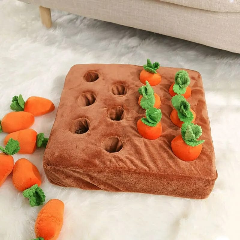 Carrot Garden