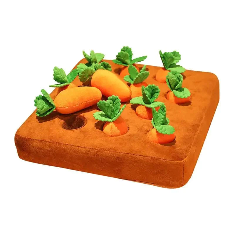 Carrot Garden