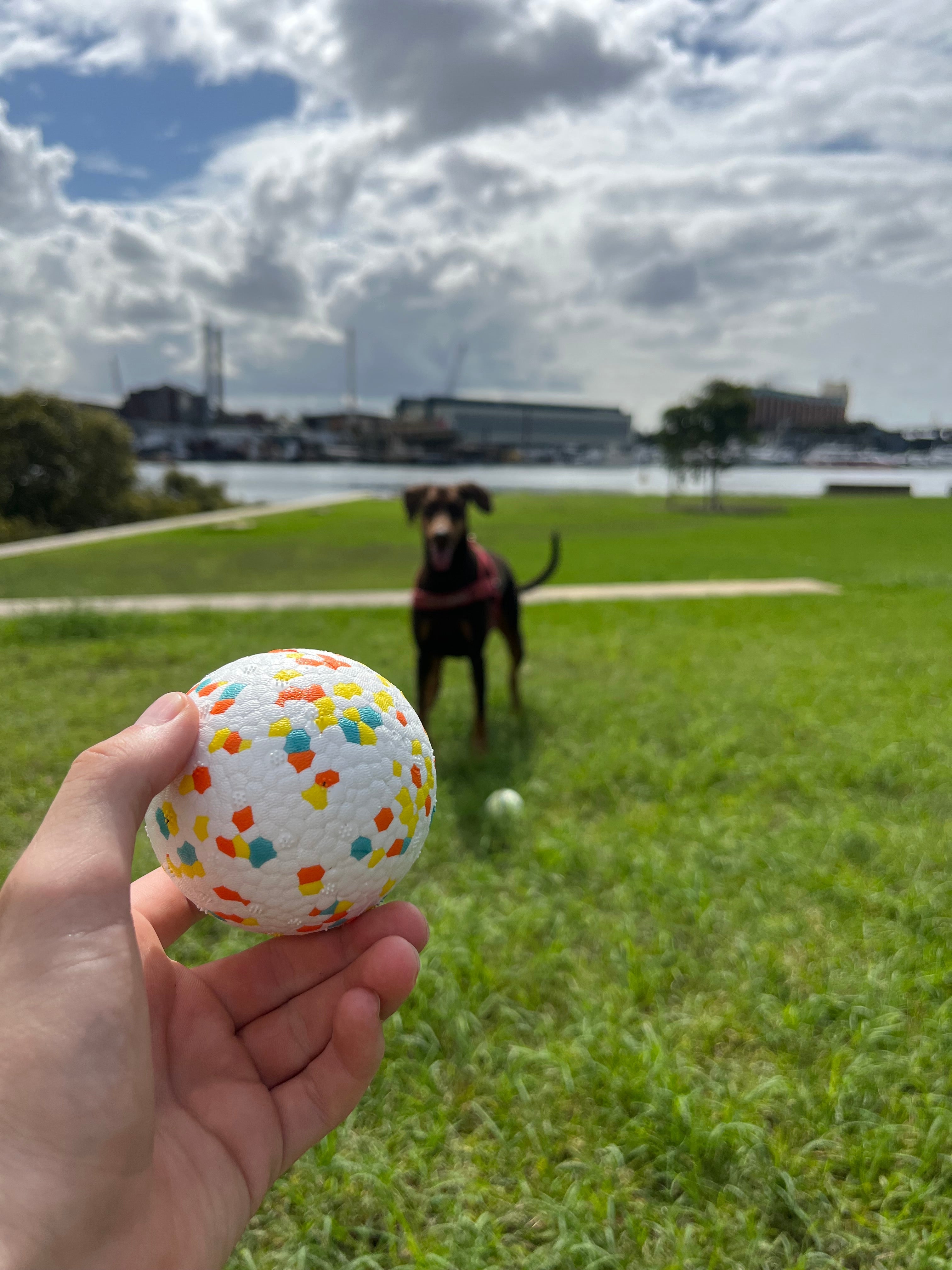 Chewiee Balls