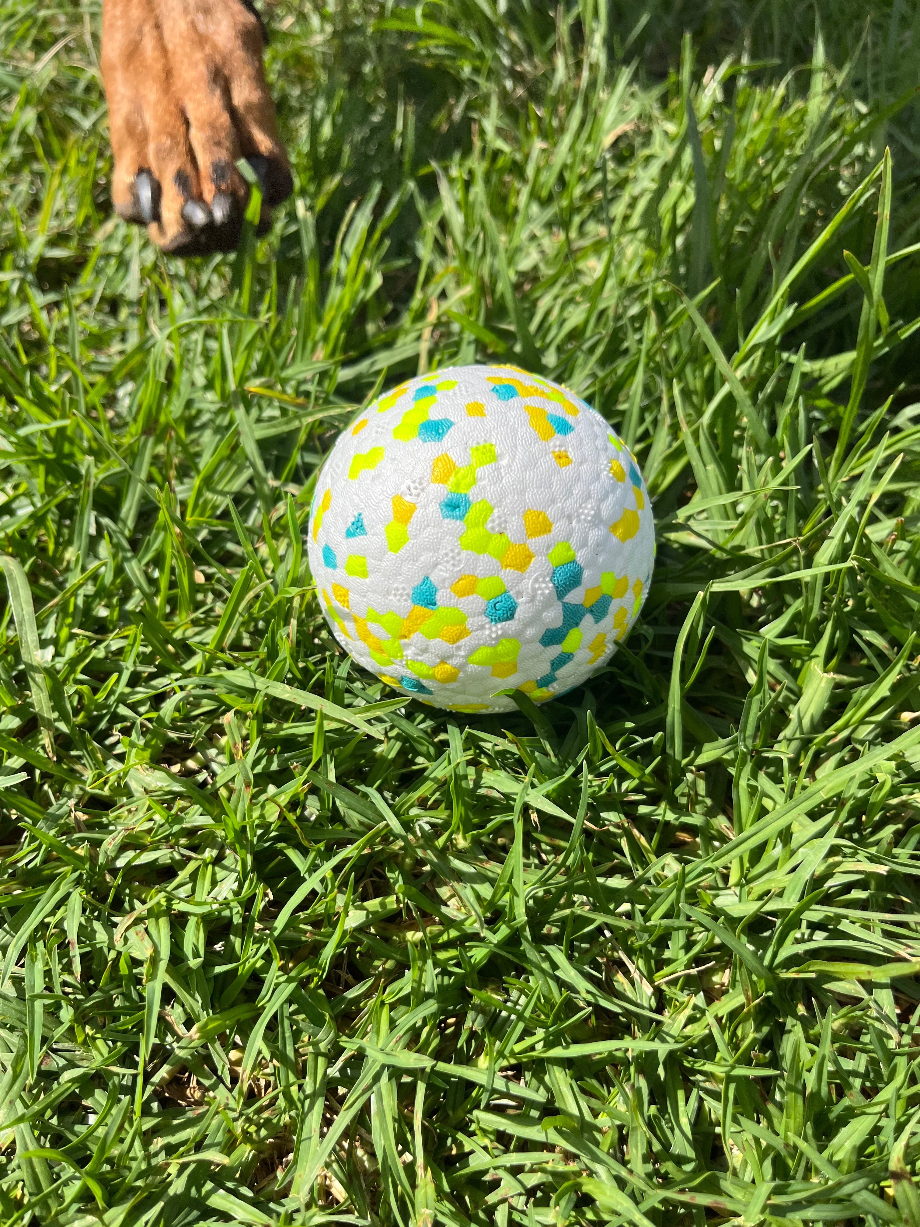 Chewiee Balls