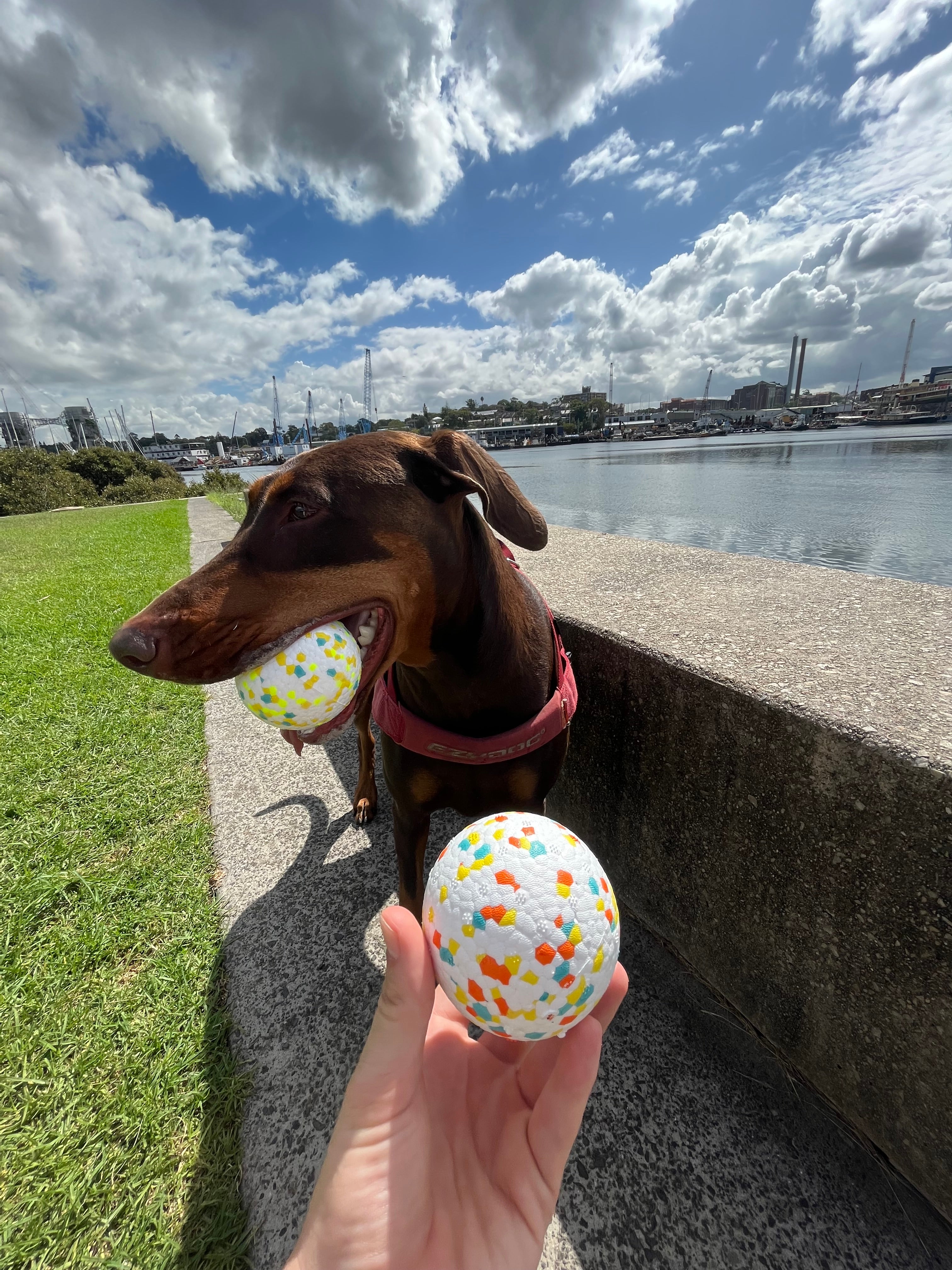 Chewiee Balls