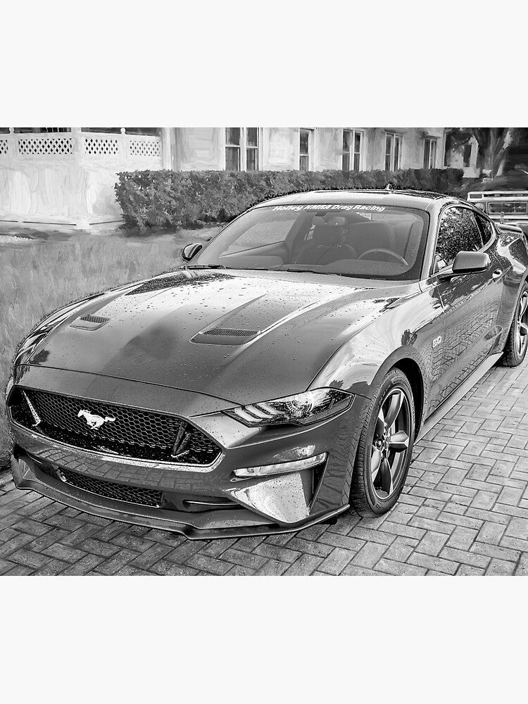 Custom Car Blanket with Your Car Photo