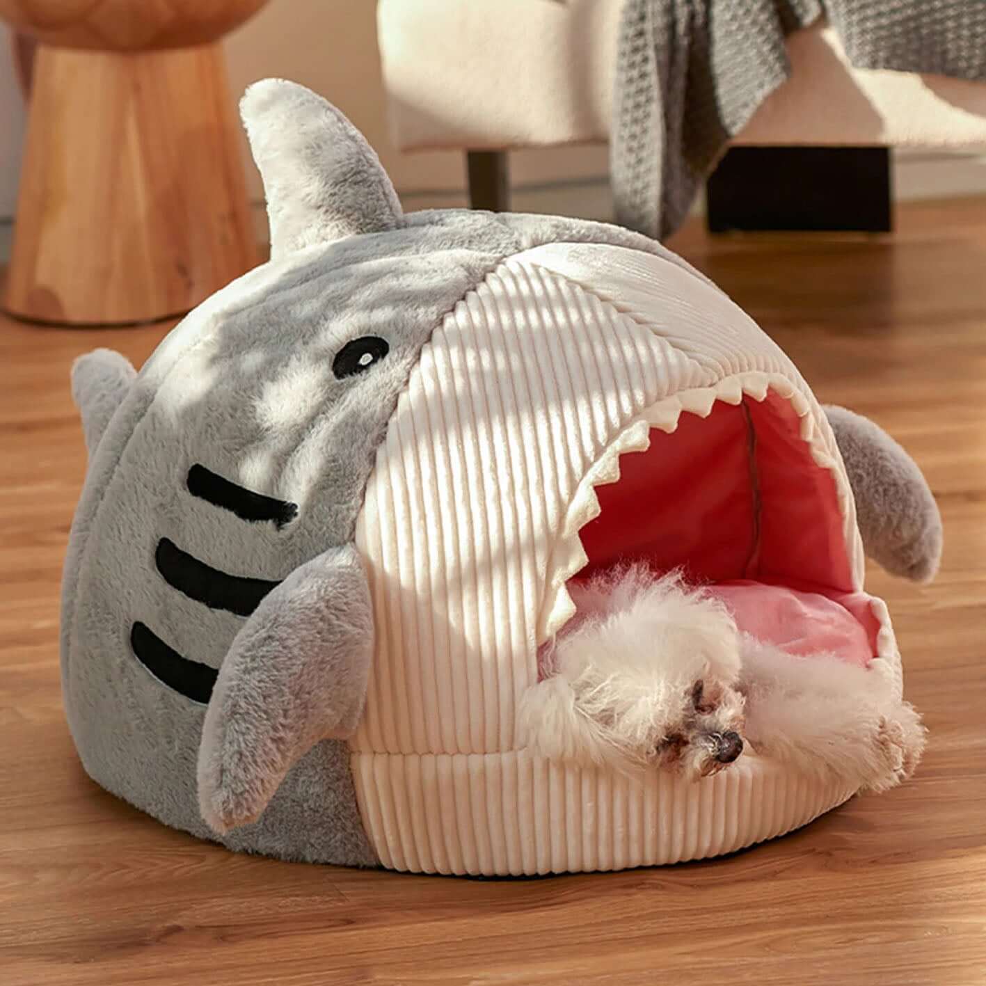 Sharky Bed