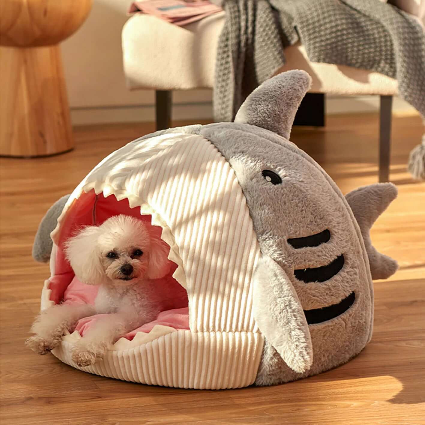 Sharky Bed