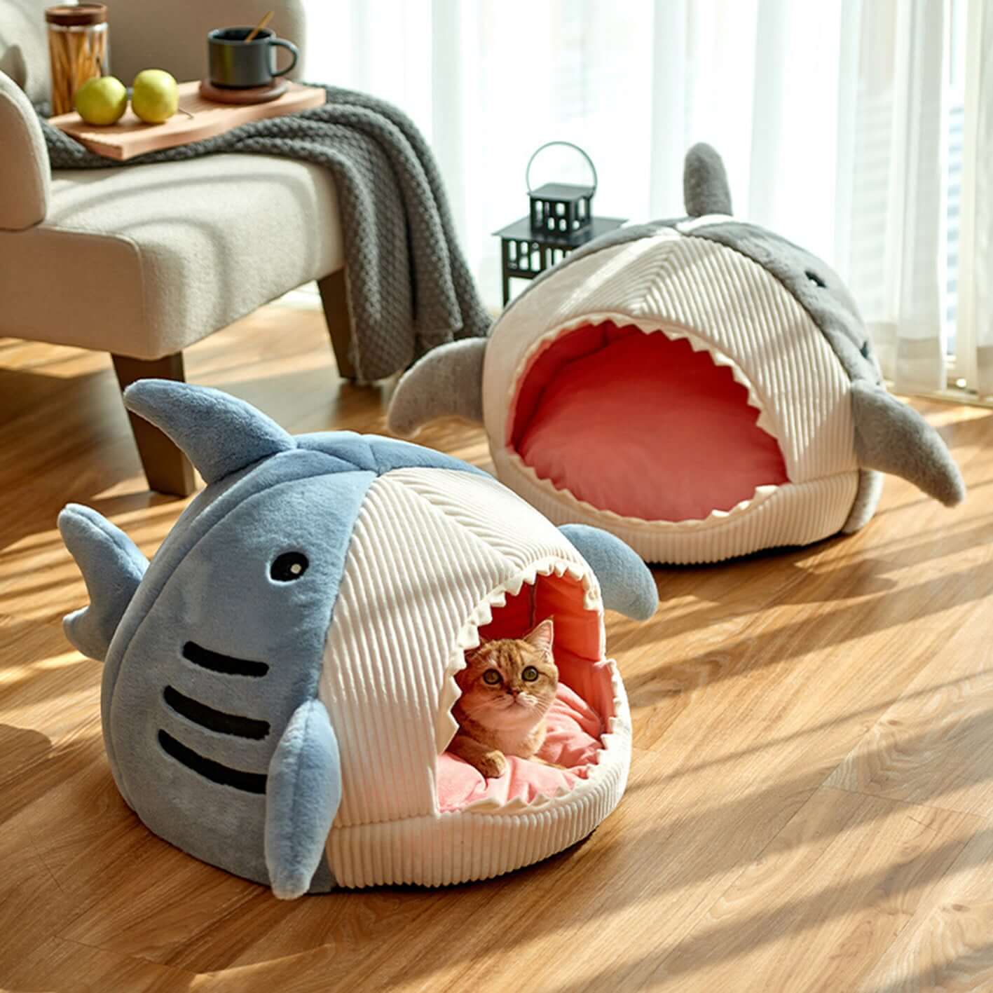 Sharky Bed