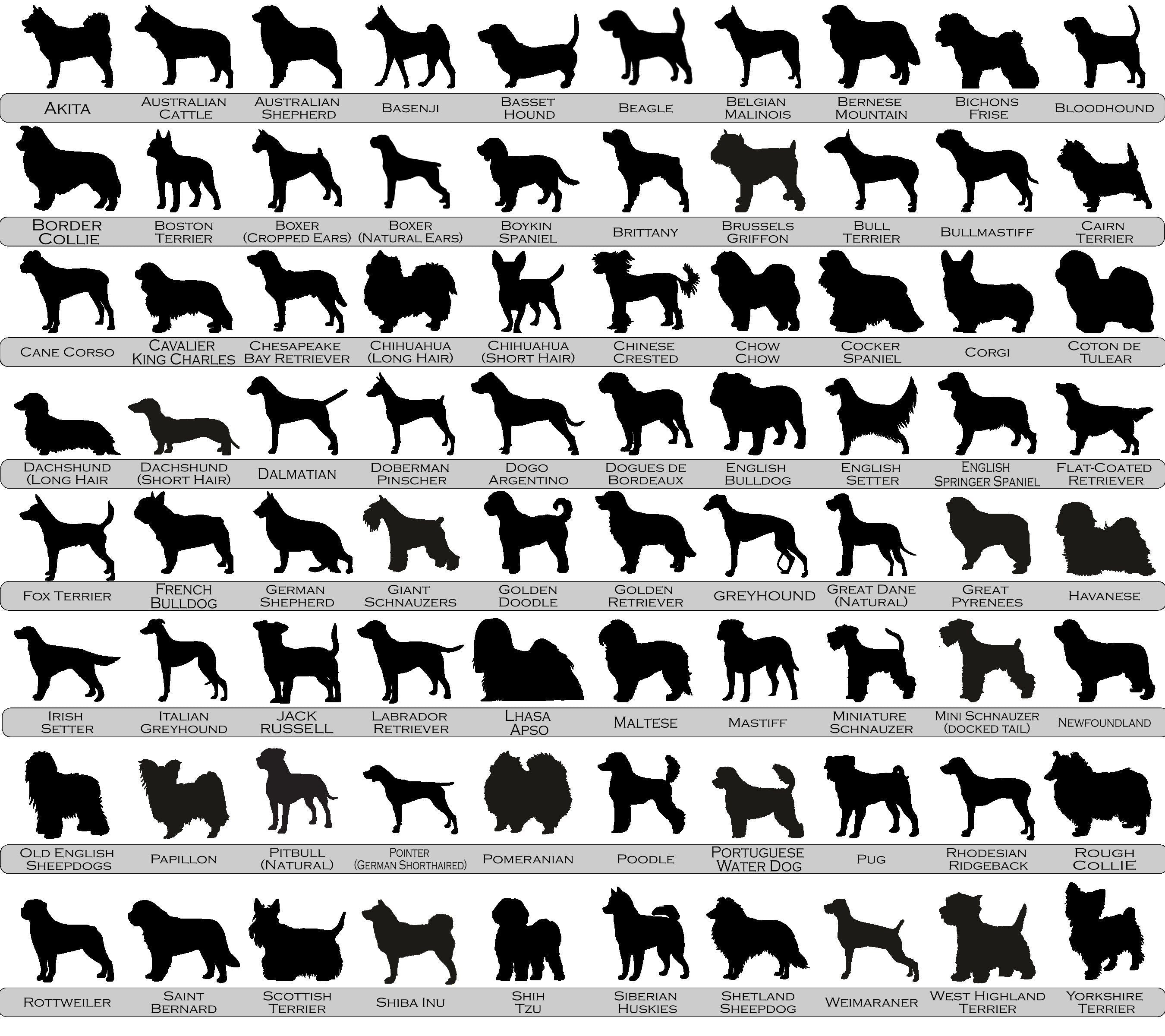 NEW! Dog Memorial Suncatcher, Multiple Dog Version, Personalized with dog breed silhouettes, names and dates, Available in all breeds