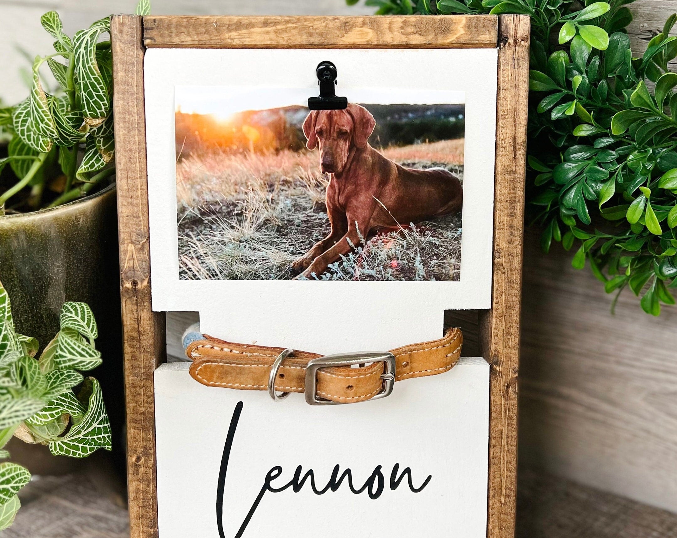 Pet Memorial Dog Collar Holder | Dog Loss Memorial Frame