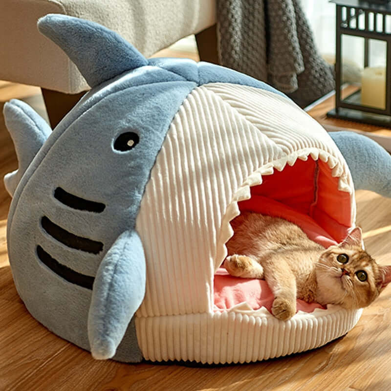 Sharky Bed